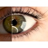 Image 5: Enhance Beauty with Microblading, Lip Blush and More! 