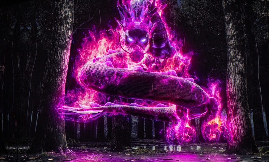 Image 5:  Experience Art Brought to Life Through Light and Sound