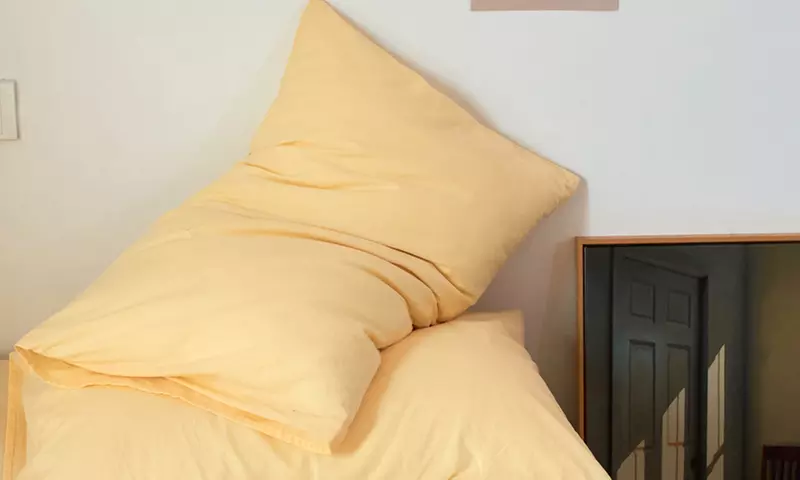 Pure Cotton 2 Piece Pillowcase Set