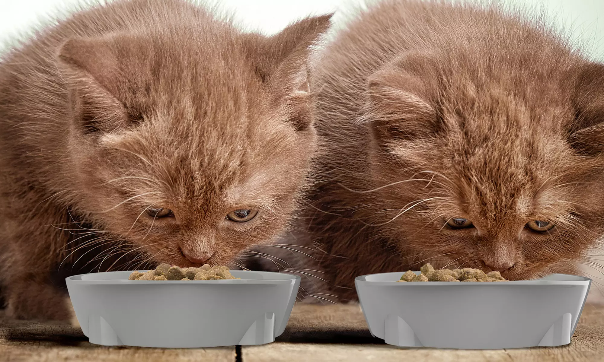 Petmaker Cat-Shaped Food and Water Dishes (2-Piece) - Second Medium