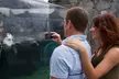 Visit Aquarium of the Pacific – Southern California’s Ocean Adventure - Second Medium