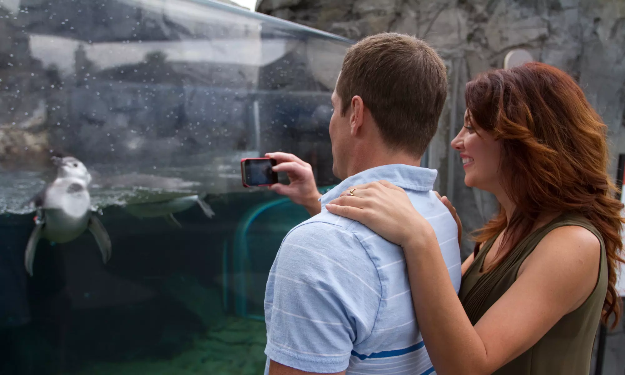 Aquarium of the Pacific: Admission for All Ages