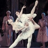 Image 2: Un gala d’exception avec les solistes du Grand Ballet de Kiev