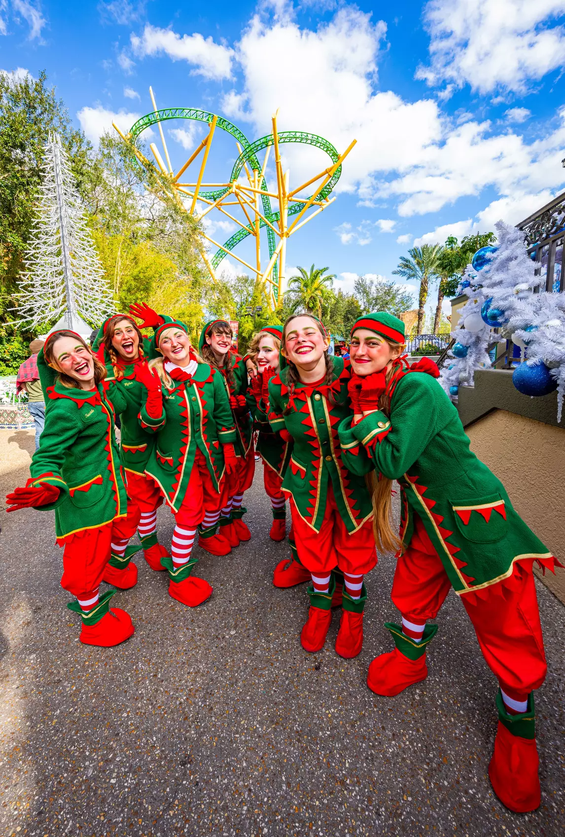 Save 60% on Busch Gardens Tampa Tickets!