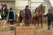 30-Minute or 60-Minute Private Horseback Riding Lesson at Greene Acres Equestrian Center (Up to 36% Off) - Second Medium