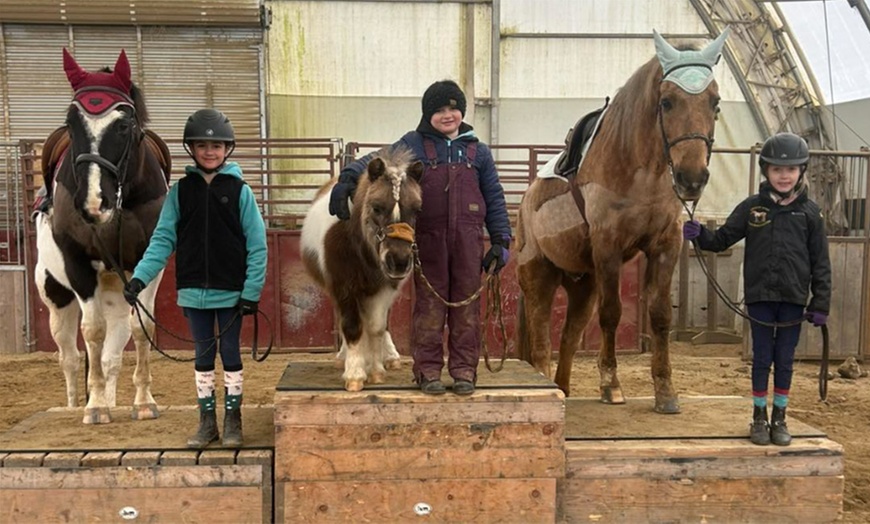 Image 4: Up to 42% Off Private Horseback Riding Lessons at Greene Acres