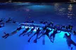 Up to 20% Off Manta Ray Night Snorkel Adventure at Ocean Encounters – Swim with Hawaii’s Gentle Giants - Second Medium