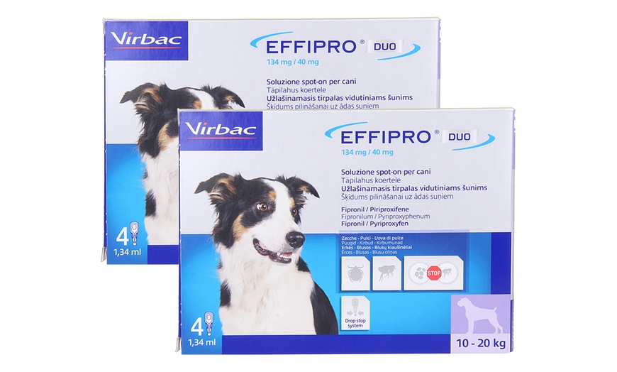 Image 4: Antiparassitario Virbac effipro duo