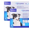 Image 4: Antiparassitario Virbac effipro duo