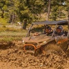 Image 3: Explore with Three-Hour Morning UTV Ride, Two-Seater or Four-Seater