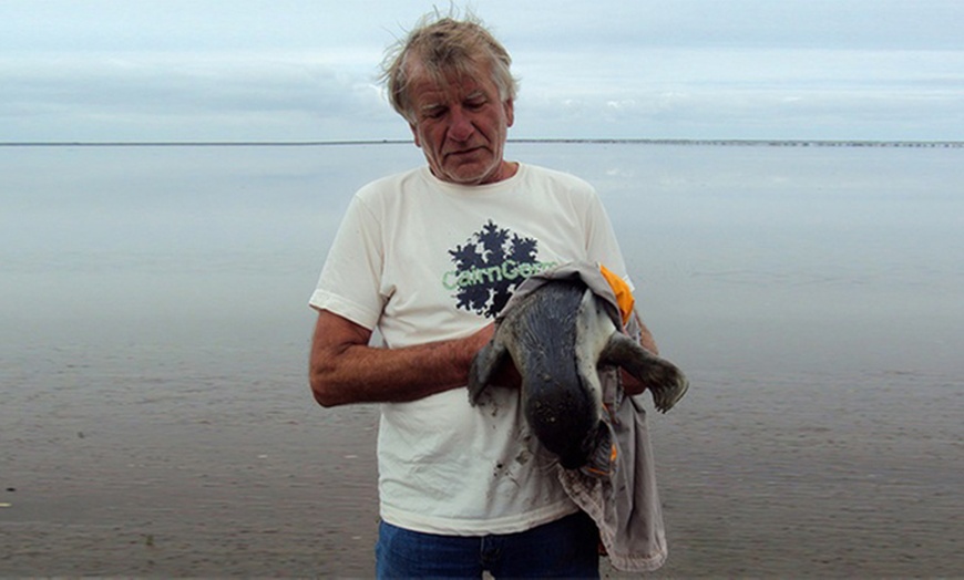 Image 4: Tour durch das Wattenmeer & Natur von Wadlopen-Pieterburen