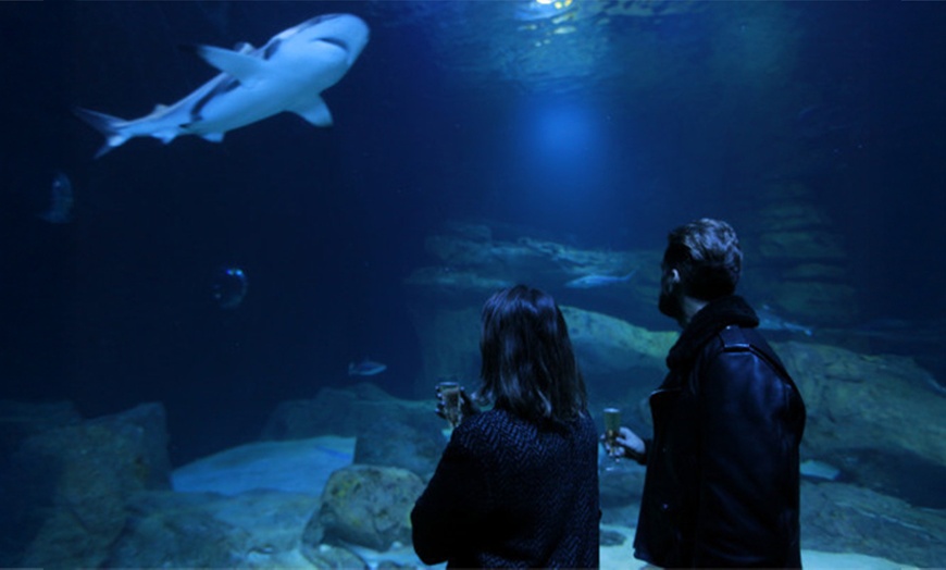 Image 5: Au cœur des océans sans quitter Paris