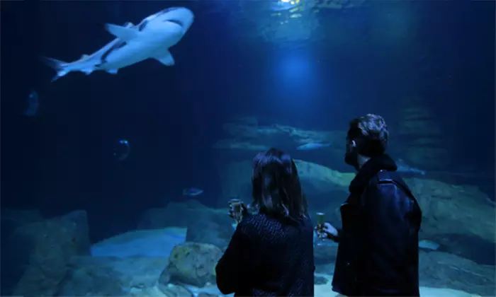 Au cœur des océans sans quitter Paris