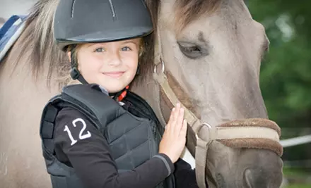 One 30- or 60-Minute Private Horse-Riding Lesson at Minieri's Parkview Riding Center (Up to 54% Off) - Primary Image