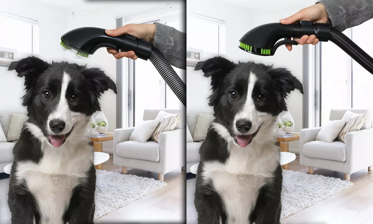 Draadloze stofzuiger Turbo Silence + kit Dierenverzorging