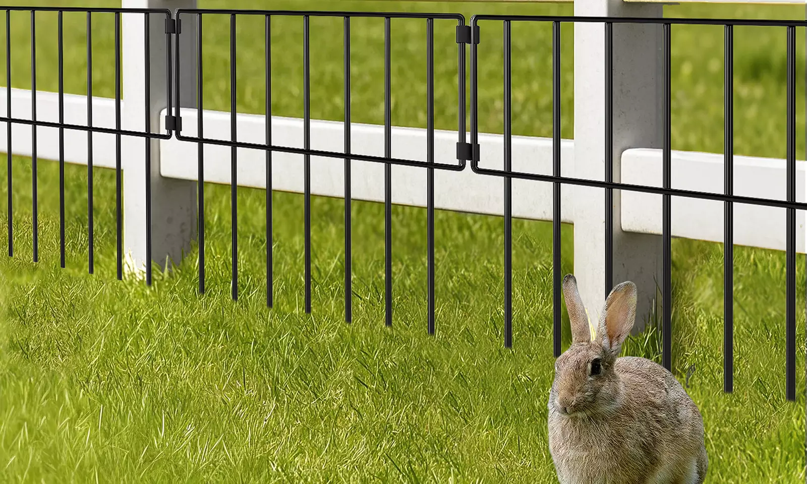 Levede No-Dig Animal Barrier Fence Collection