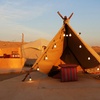 Image 4: VIP Desert Safari with 30-Min Quad Bike Ride with Home or Hotel Pickup