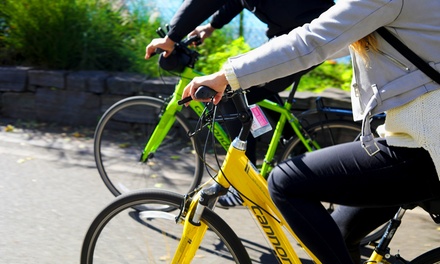 2-Hour Bike Rental for One Child - Unlimited Biking Los Angeles