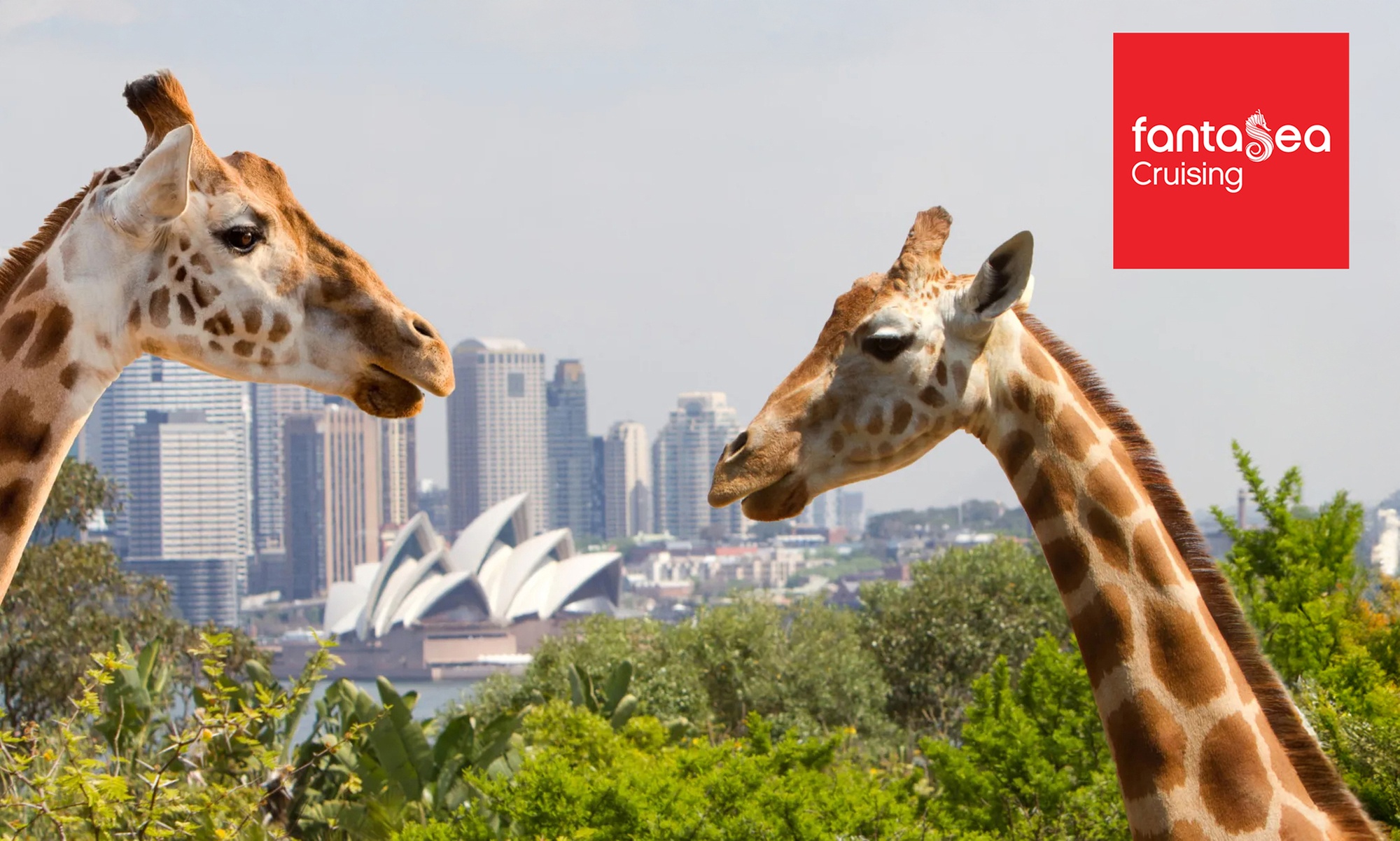 Explore Sydney Harbour & Taronga Zoo + Return Ticket - Child or Adult