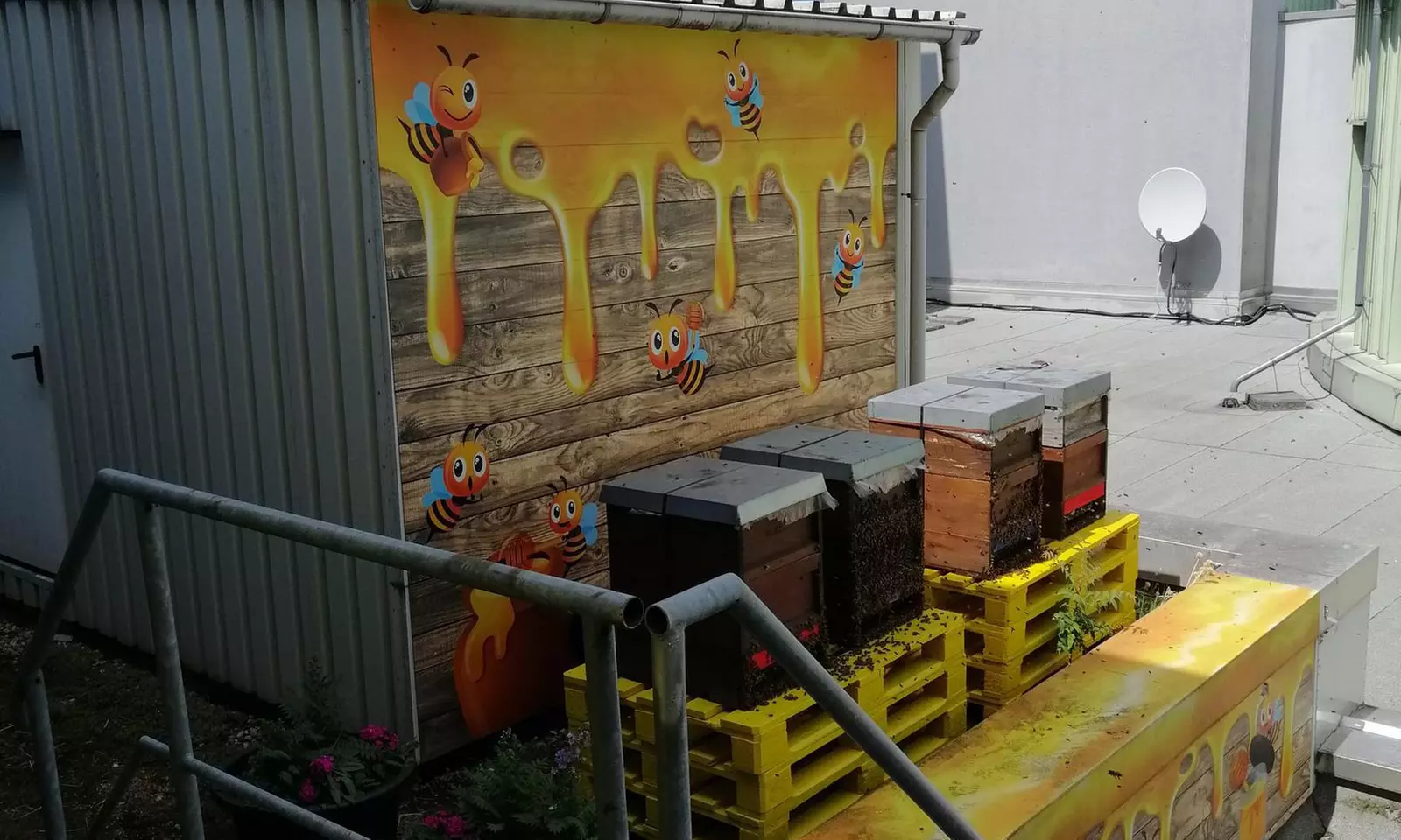 4 Std. Imker-Schnupperkurs inkl. 2 Gläser Bio-Honig für 1-2 Personen