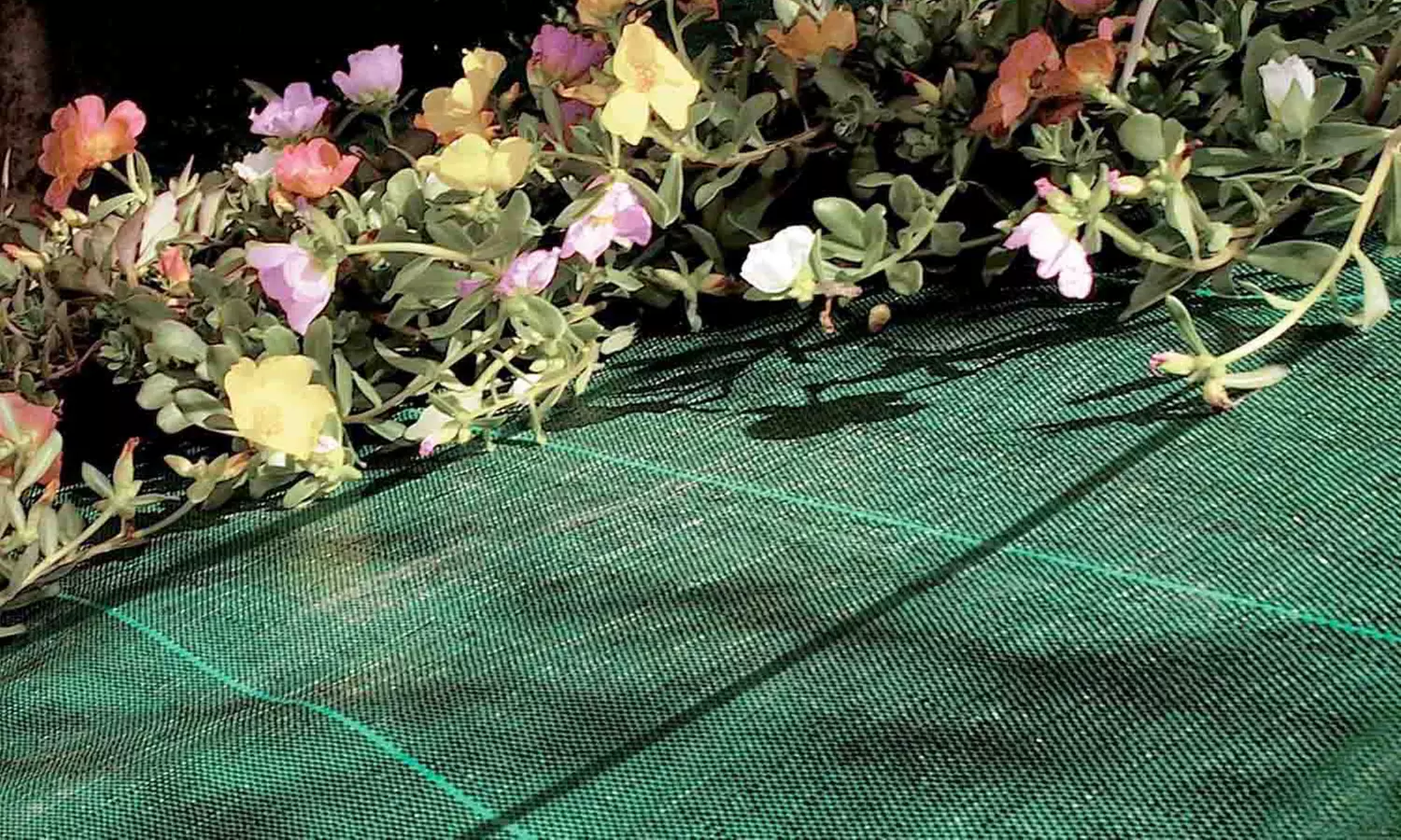 Telo Pacciamatura Protettivo da Giardino