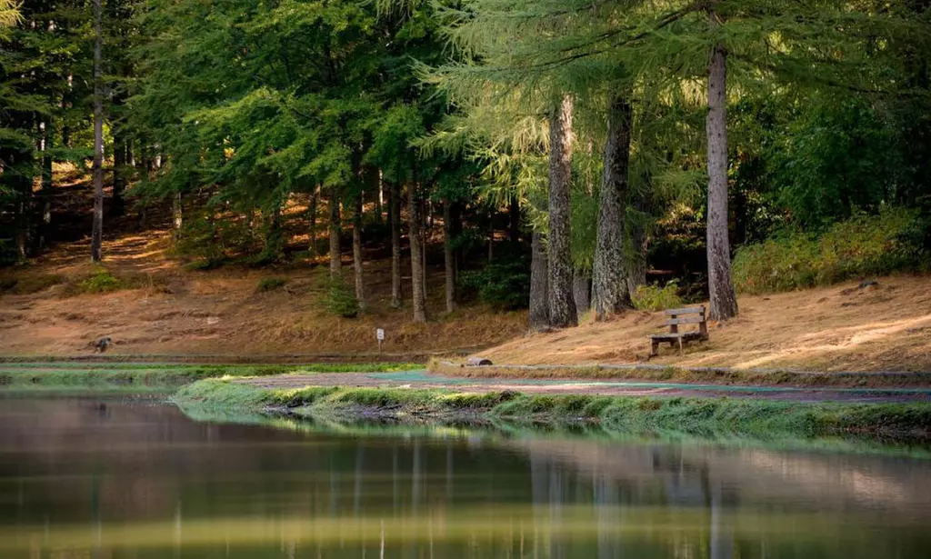 Modena 4*: soggiorno con mezza pensione e Spa per 2 o 3 persone