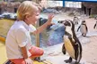 Get Oceanarium Experience for One Adult, Child, Senior or Family of 3, 4, or 5 at Oceanarium (Up To 25% Off) - Second Medium