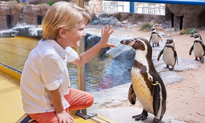 Image 3: Oceanarium Experience for One Adult, Child, Senior or Family of Upto 5