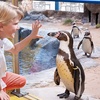 Image 3: Oceanarium Experience for One Adult, Child, Senior or Family of Upto 5