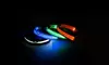 Safety Luminous LED Dog Light Up Collar Night Glow Adjustable Collar with Leash