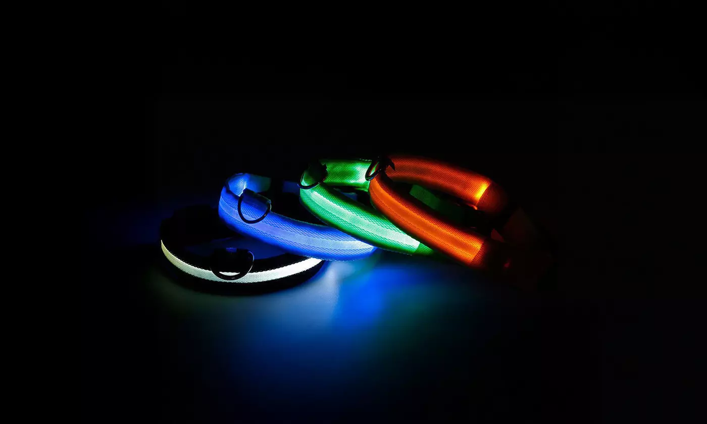 Safety Luminous LED Dog Light Up Collar Night Glow Adjustable Collar with Leash