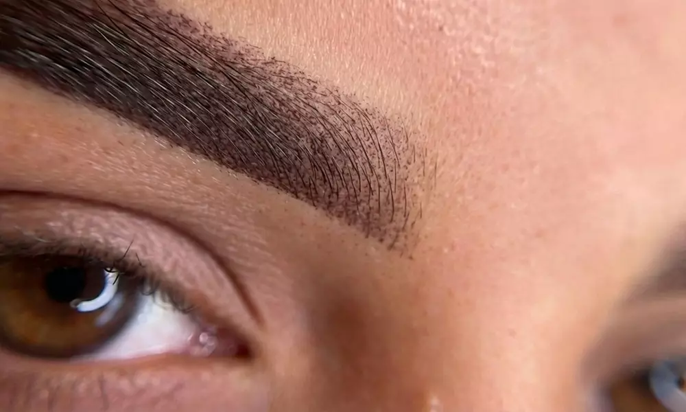 Micropigmentierung: Schattierung (Powder Brows oder Lippen) + Touch-Up