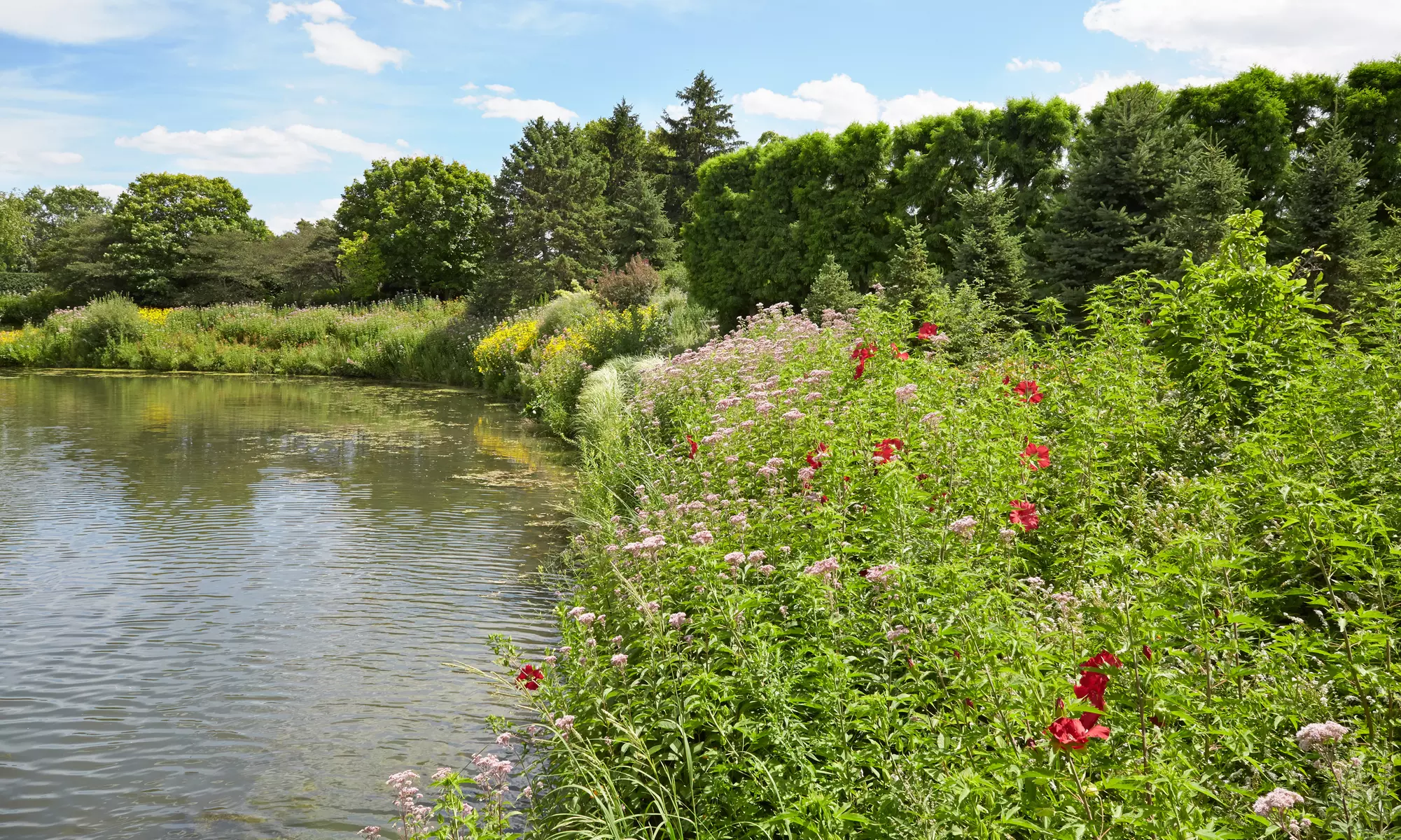 50% Off of $150 Drainage Consultation - Primary Image