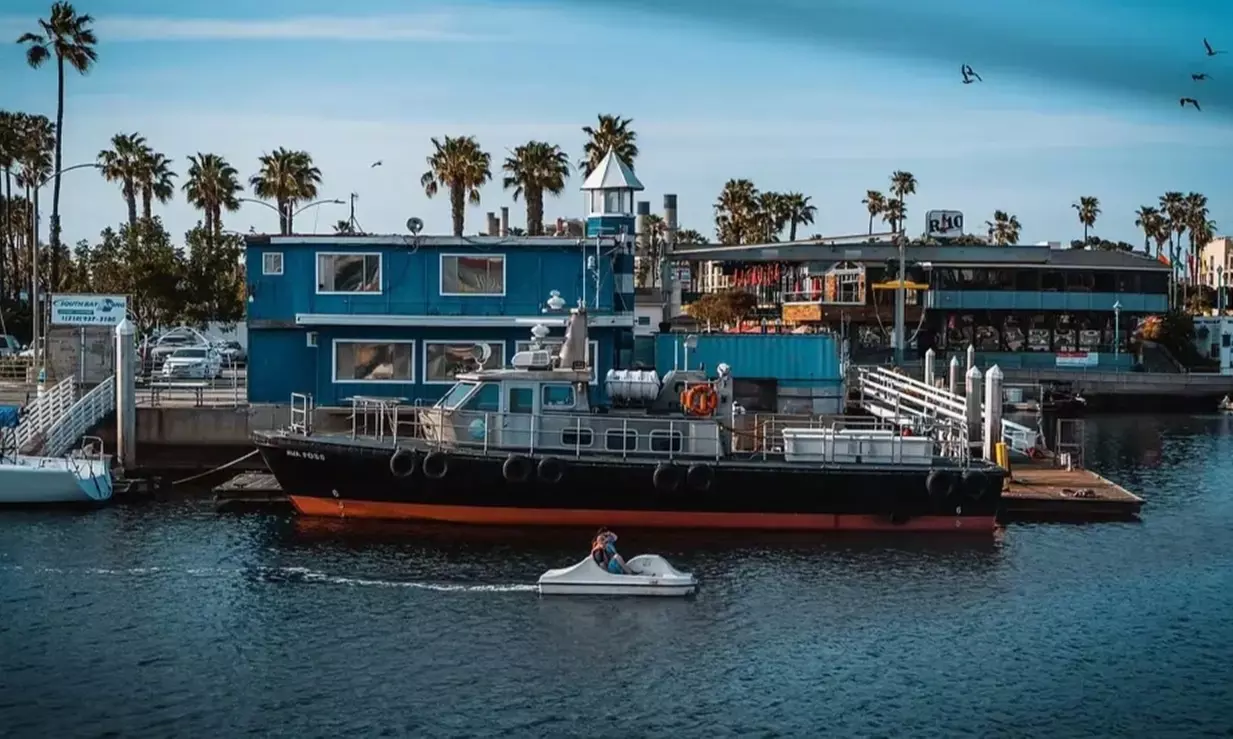 Glide Through Redondo Harbor: Enjoy Coastal Views & Spot Sea Lions on a Fun Pedal Boat