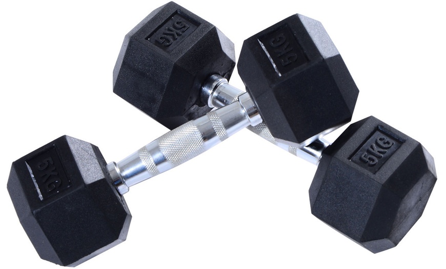 Image 48: Rubber Hexagonal Dumbbells