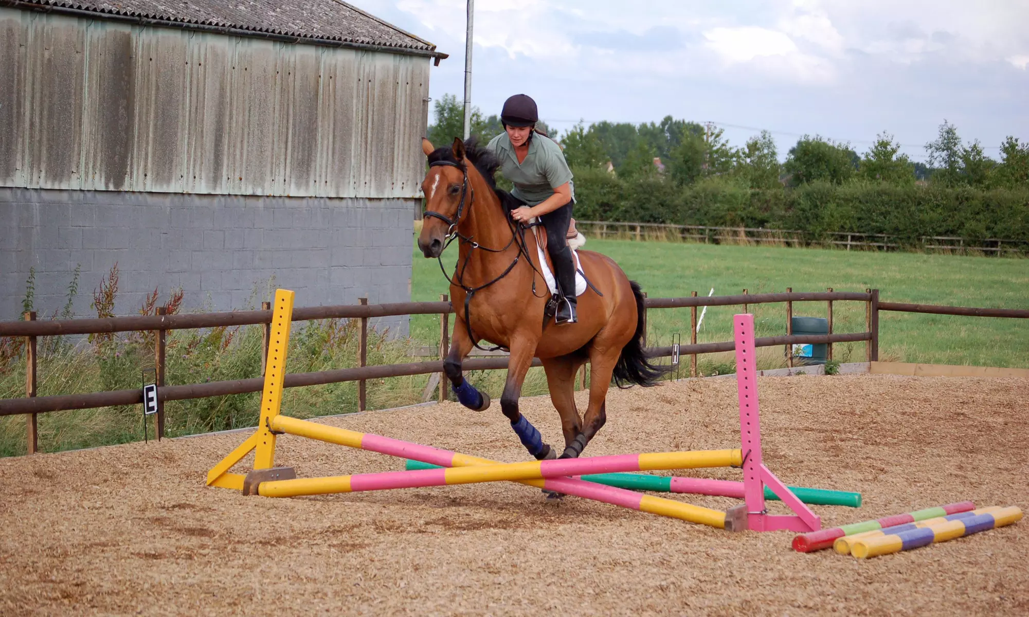 One-Hour Horseback-Riding Lesson at Pink Flamingo Stables Blue Sky Stables (40% Off) - Primary Image