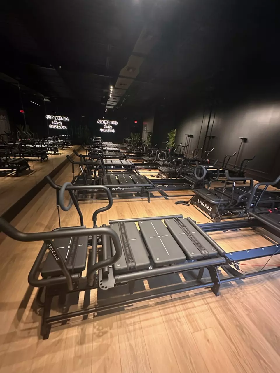 Personalized Training at Quality Fitness Studio in Tampa, FL