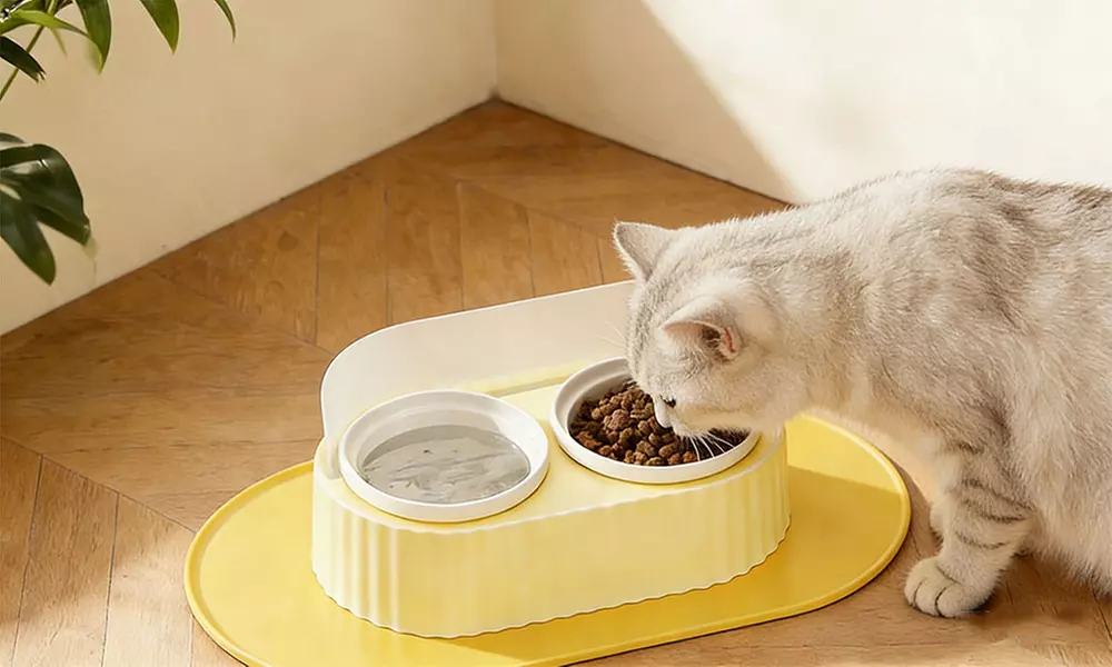 Ceramic Double Pet Bowl Set with Elevated Stand and Non-Slip Mat 350ml