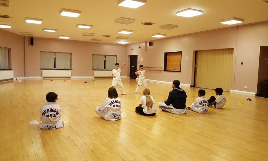 Image 11: Two Kids Taekwondo Lessons