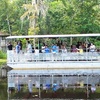 Image 5: Up to 39% Off a 90 Minute Swamp Tour at Jean Lafitte Tours