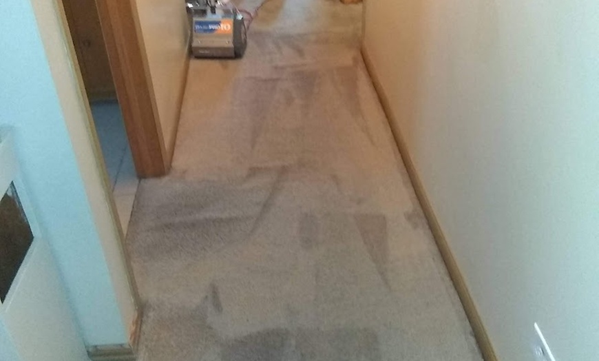 Image 7: Enhance Comfort with Carpet Cleaning for 2, 3, or 4 Rooms