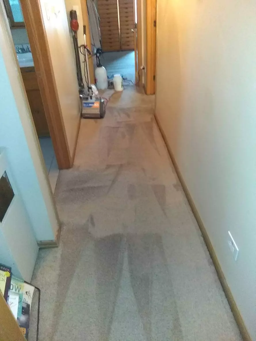 Enhance Comfort with Carpet Cleaning for 2, 3, or 4 Rooms