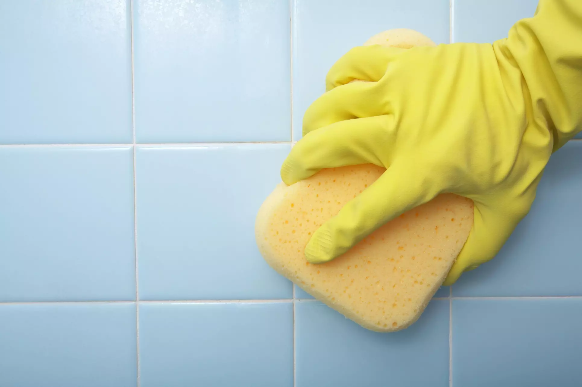 $47 Off $249 Worth of Home Mold Testing / Removal - Primary Image