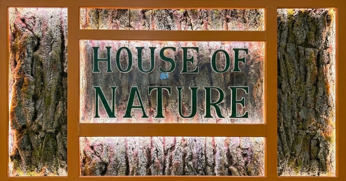 Mindful Movement For Balance & Wellness At House Of Nature Mindful Movement For Balance & Wellness At House Of Nature