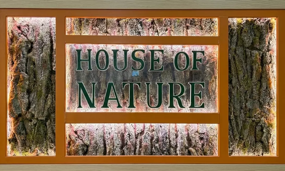 Mindful Movement for Balance & Wellness at House of Nature