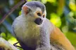 ✈ 6-Nt Costa Rica Volcano & Beach Trip. Price is per Person, Based on Two Guests per Room. Buy One Voucher per Person. - Second Medium