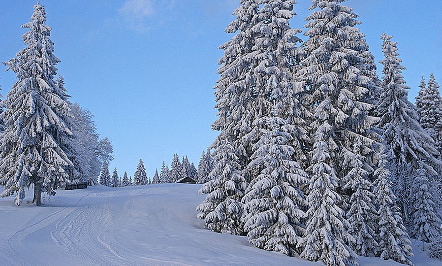 Image 9: Soggiorno nell'incantevole paesaggio della Valle di Primiero