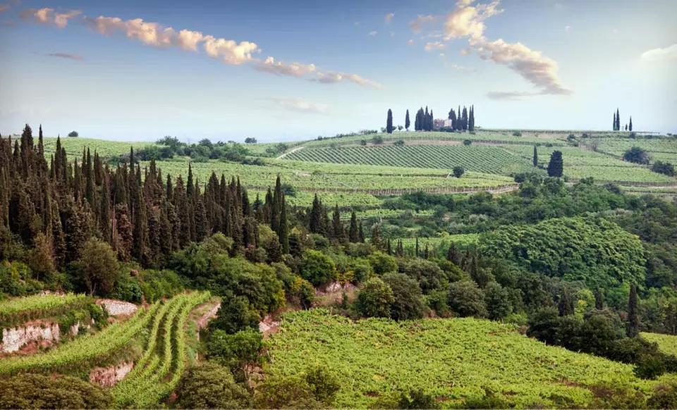 7-Day Tuscany Culinary Vacation at Villa Casagrande with Airfare and Rental Car - Primary Image