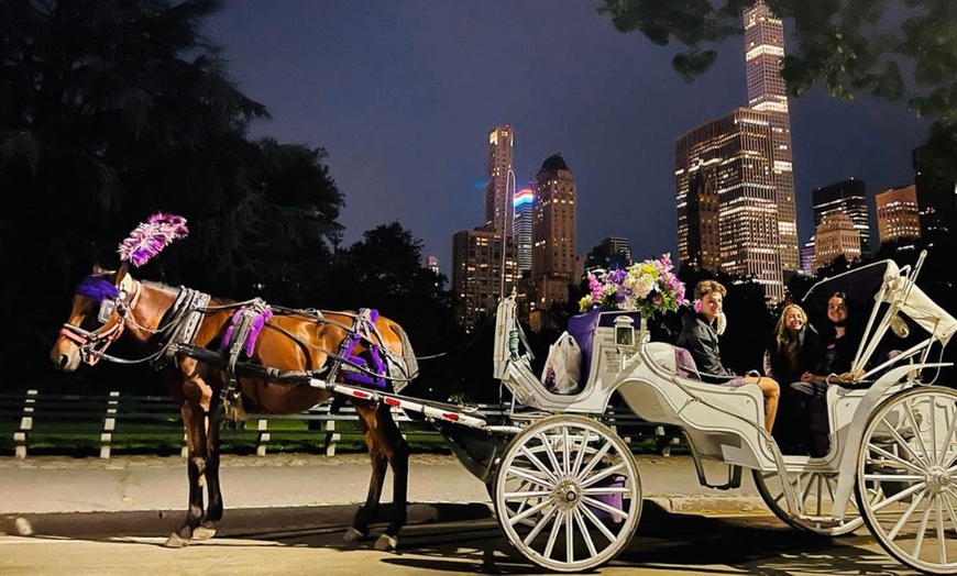 Image 3: Central Park Tours: Mini, VIP, Night, Moonlight, & More - Up to 4 