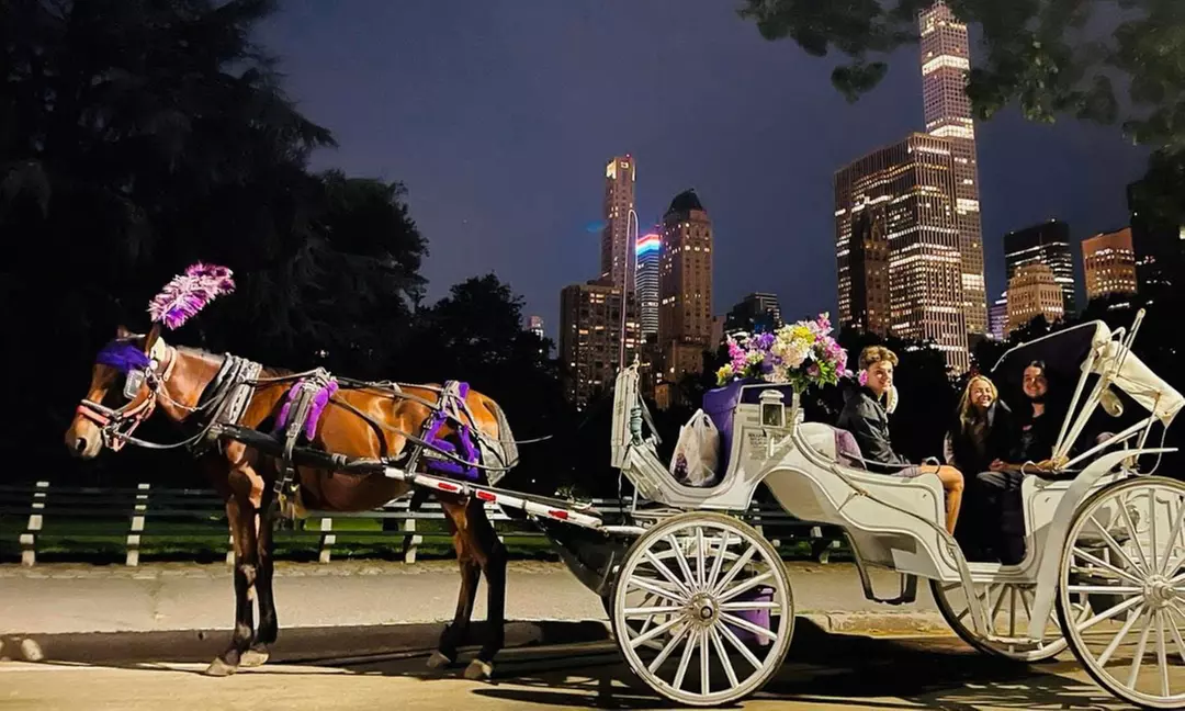 Central Park Tours: Mini, VIP, Night, Moonlight, & More - Up to 4 